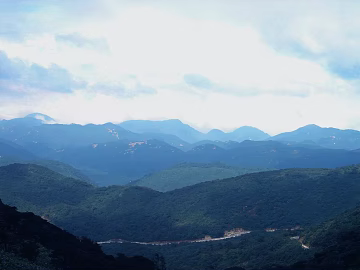 Wild Scenery texture (ID:ffaaf5082)