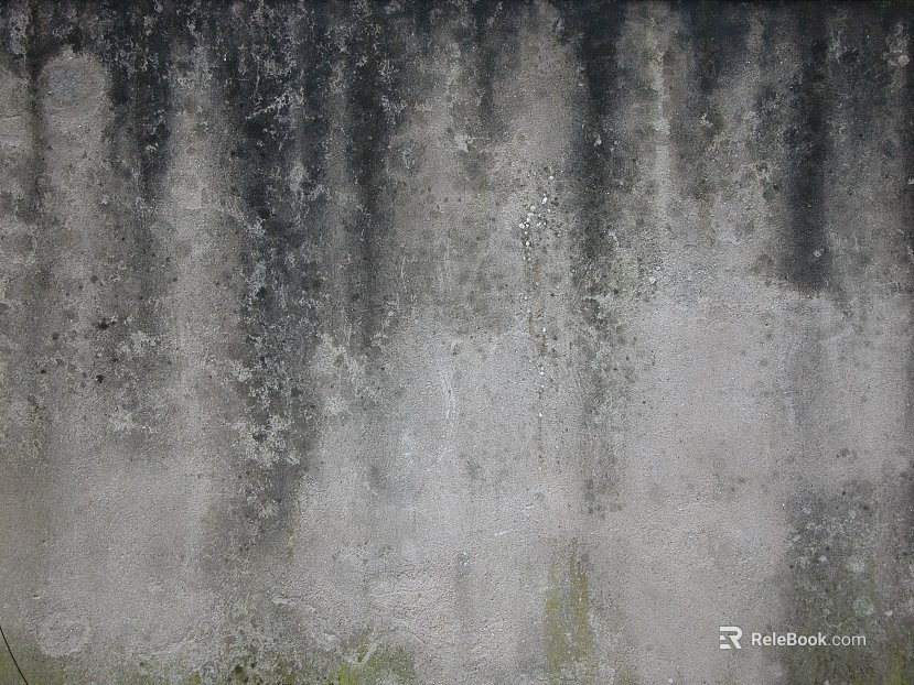 Cement wall moss white wall texture
