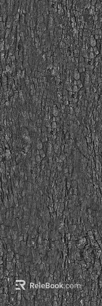 bark texture