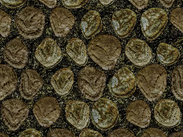 bark texture (ID:ffagg44398)