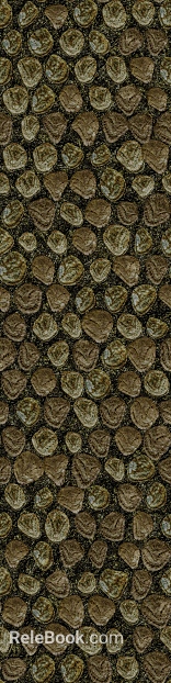 bark texture