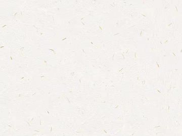 Plain Wallpaper 3d model