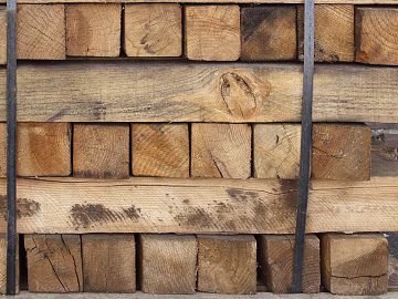 Trunk texture (ID:ffaag71956)