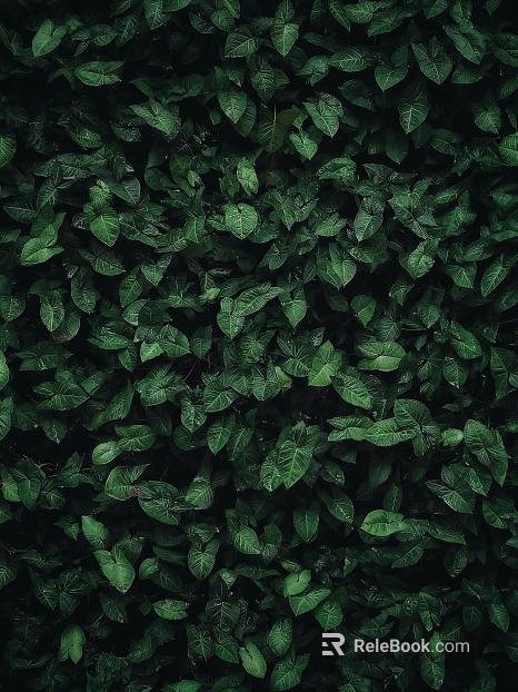 plant pattern texture