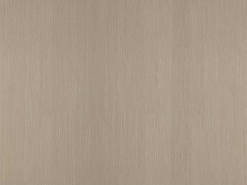Wood grain 3d model