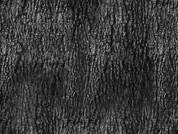 bark texture (ID:ffacg98981)