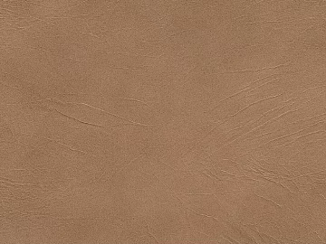 Coarse-grain leather 3d model