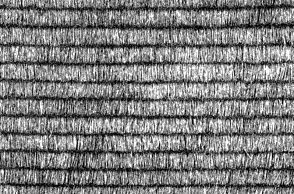 Black and White Bump texture