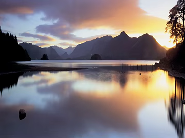 Wild Scenery texture (ID:ffagg91401)