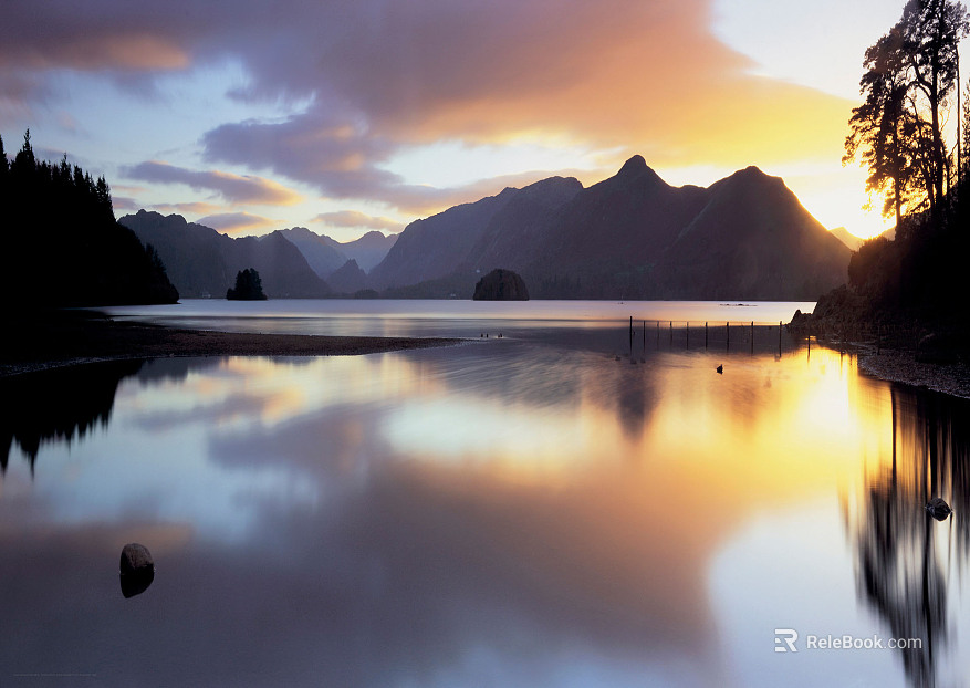 Wild Scenery texture