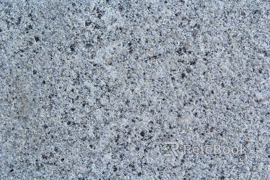 A close-up texture shot of Granite, showcasing its characteristic speckled pattern with prominent grey, white, and black mineral grains, embodying the natural strength and beauty of this igneous rock.