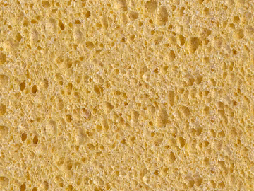 foam sponge texture 3d model