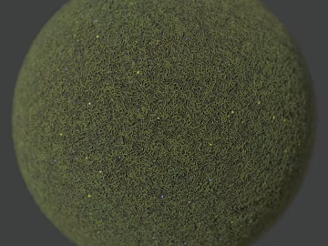 Grassland PBR texture (ID:ffach869181)