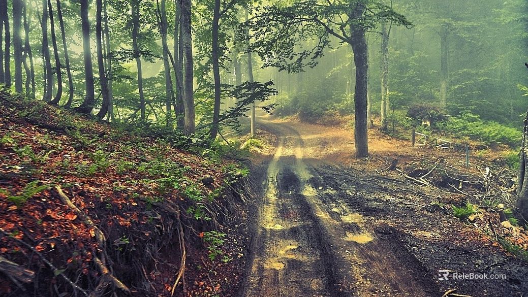 Wild Scenery texture