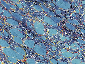 abstract painting texture (ID:ffaag99862)