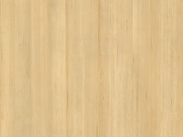 Maple Natural Pine texture (ID:ffaeh434344)
