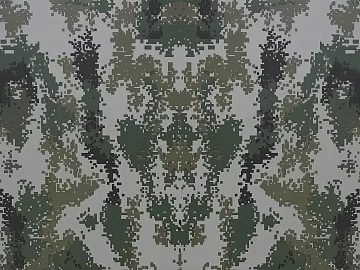 Camouflage 3d model