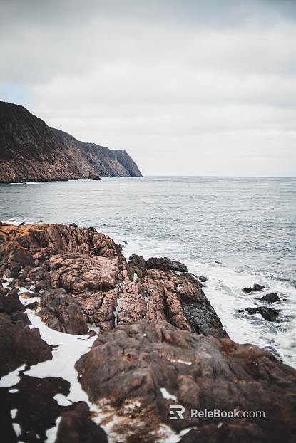 Wild Scenery texture
