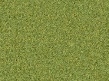 Grass Grass Slope Green Space Texture 3d model