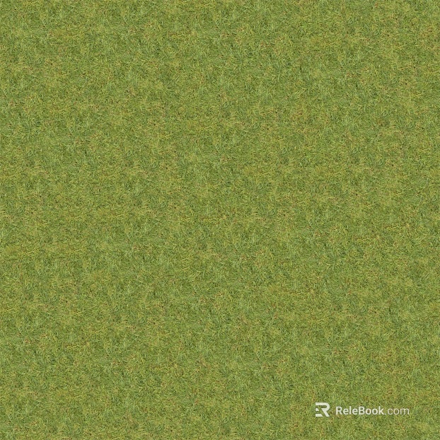 Grass Grass Slope Green Space Texture texture