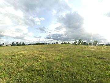 Wild Scenery texture (ID:ffajg76048)