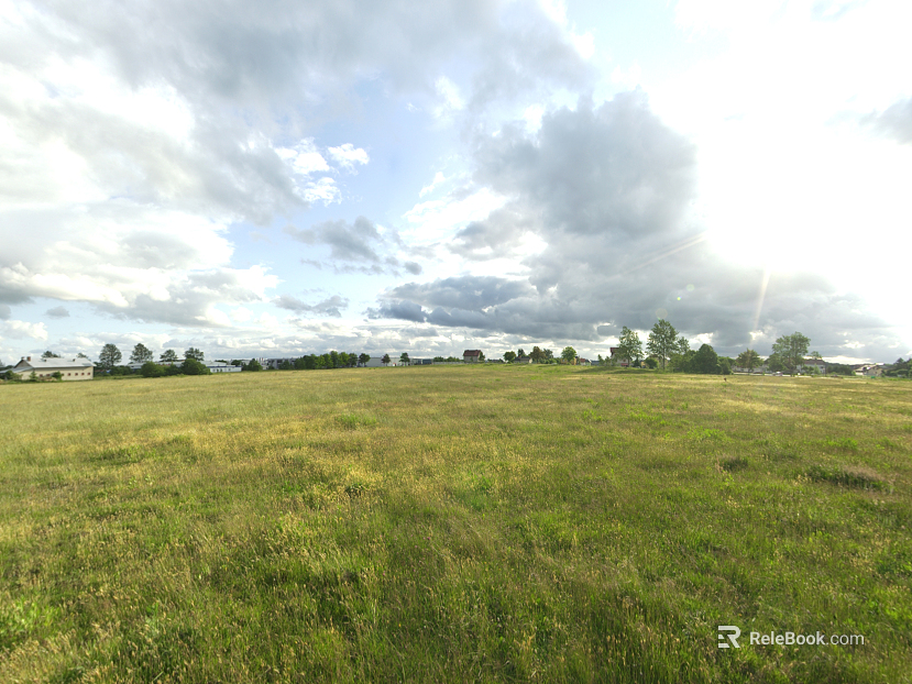 Wild Scenery texture