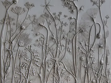 relief texture (ID:ffajg16289)
