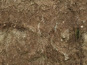 Mud ground 3d model