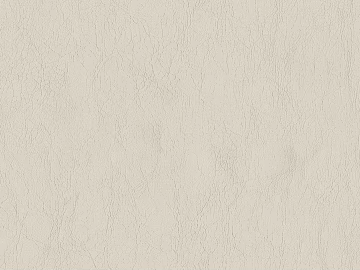 Coarse-grain leather texture (ID:ffabg01252)