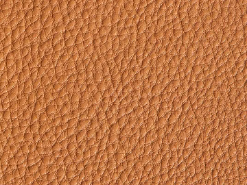 Coarse-grain leather 3d model