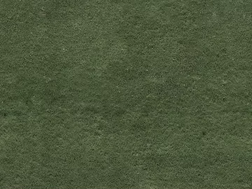 Lawn texture (ID:ffaeh928859)