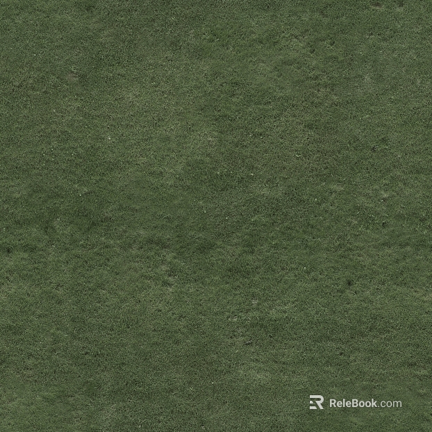 Lawn texture
