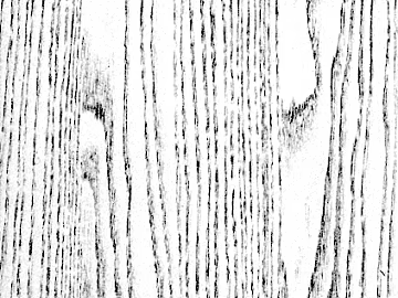 Black and white wood grain texture (ID:ffaag43832)