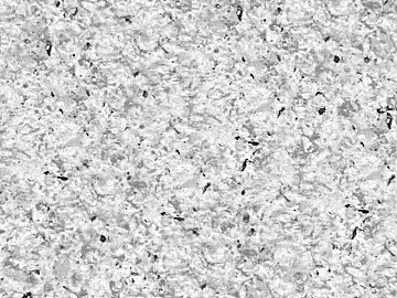 Granite sesame white litchi surface texture (ID:ffagg41373)