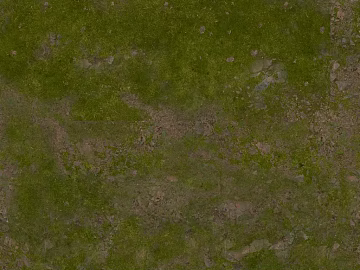 Grassland texture (ID:ffaeg98684)