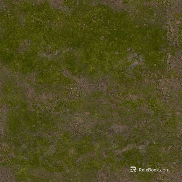 Grassland texture