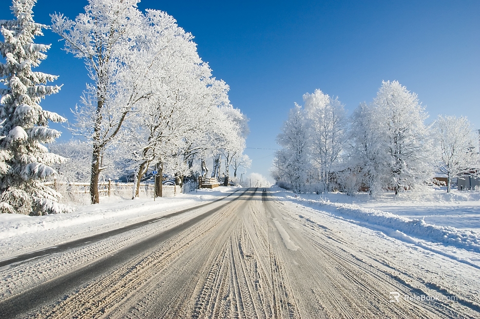 Snow texture