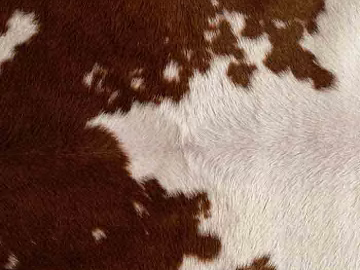 Animal Blanket texture (ID:ffagg60132)