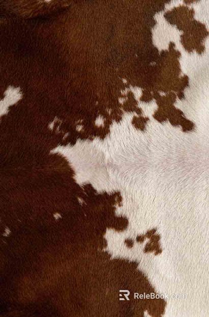 Animal Blanket texture