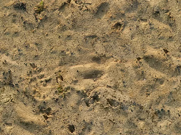 Mud ground 3d model
