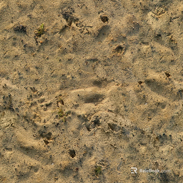 Mud ground texture