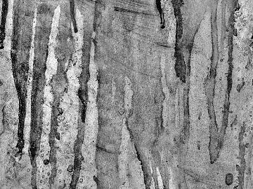 blemish scratch dirt black and white texture (ID:ffach310556)