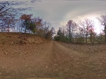 Afternoon Dusk Outdoor Forest Path HDR texture (ID:ffach292913)