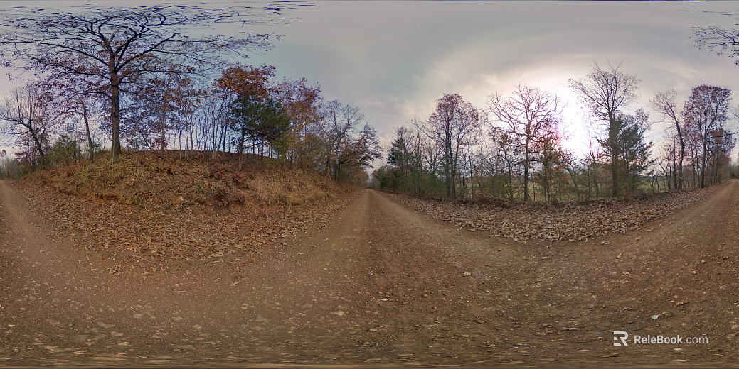 Afternoon Dusk Outdoor Forest Path HDR texture