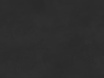 fine grain leather texture (ID:ffaeg65259)
