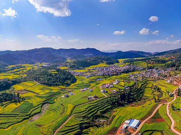 Pastoral scenery texture (ID:ffach273075)