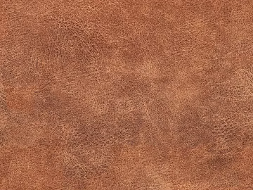 fine grain leather texture (ID:ffagg75421)