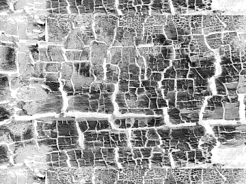 Black and White Bump texture (ID:ffach925716)