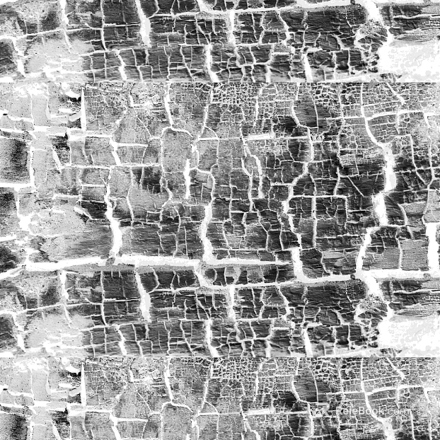 Black and White Bump texture