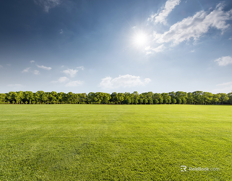 Wild Scenery texture